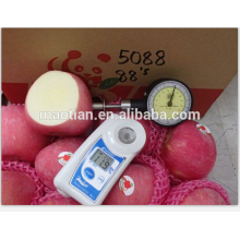 Yantai delicioso Fresh Red Fuji Apple-Blush